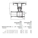 ISO-T Pumpenkugelhahn 1" - 1 1/4" mit / ohne Schwerkraftbremse (SKB)