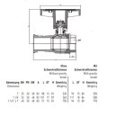 ISO-T Pumpenkugelhahn 1" - 1 1/4" mit / ohne...