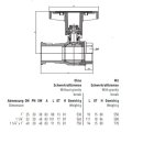 ISO-T Pumpenkugelhahn 1 1/4" ohne SKB Schwerkraftbremse